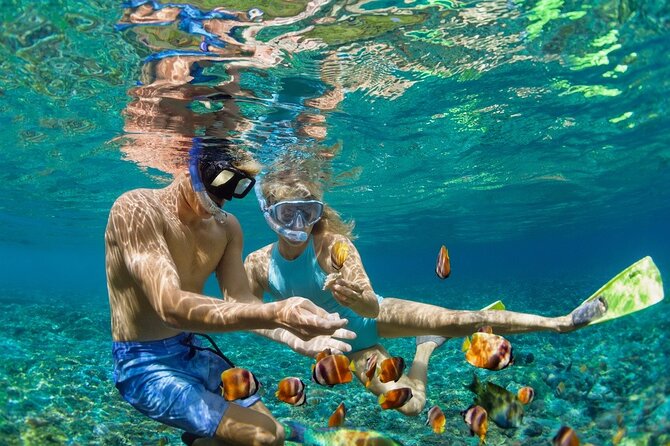 5-Island Speedboat Tour in Cartagena and the Rosario Islands - Key things I’d plan around