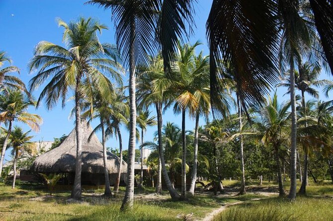 5 islands tour to rosario Islands with snorkeling activity! - Key things to know before you go