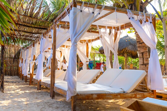 Adventure full day Isla Barú + Mangroves + Snorkel + bioluminescent plankton - Price and value: is $65 fair for this long day?