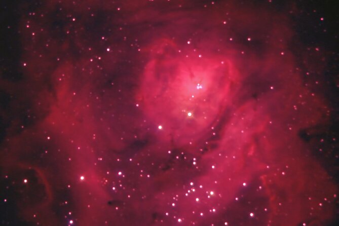 Astronomy Night - Family Stargazing in Finca Astronomica - Bonfire marshmallows: why the wait is part of the magic