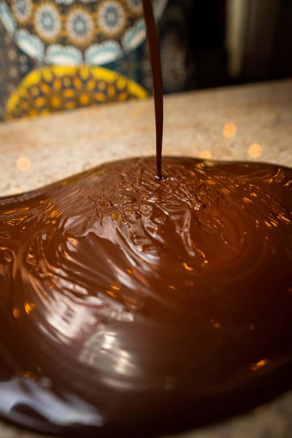 Bean to Bar: Cocoa and Chocolate Workshop - Should you book this bean-to-bar workshop in Bolívar?