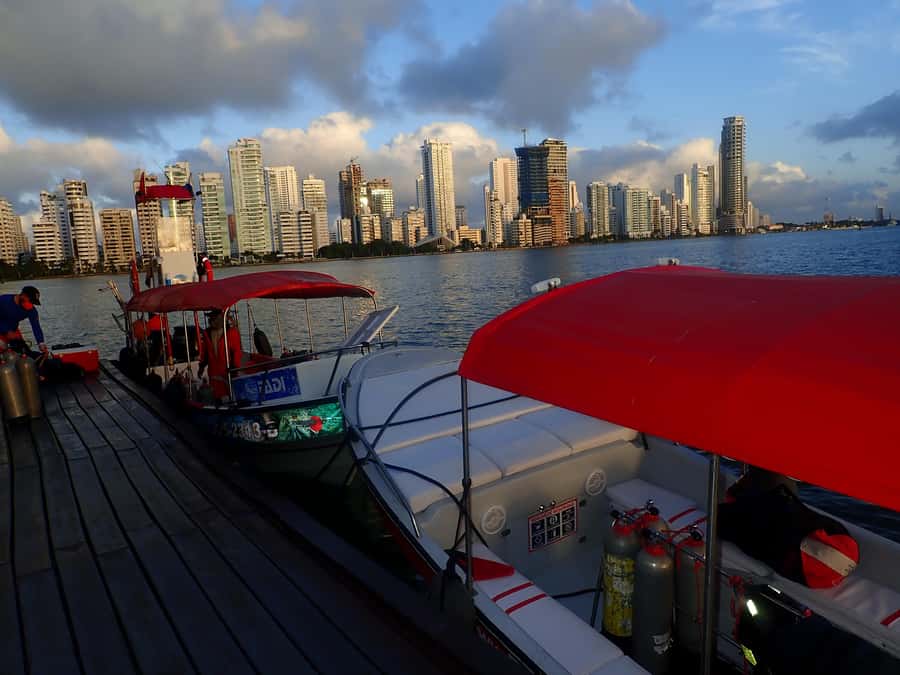 Cartagena: 2 Tanks Dive Plan For CERTIFIED DIVERS - Key things to know before you go
