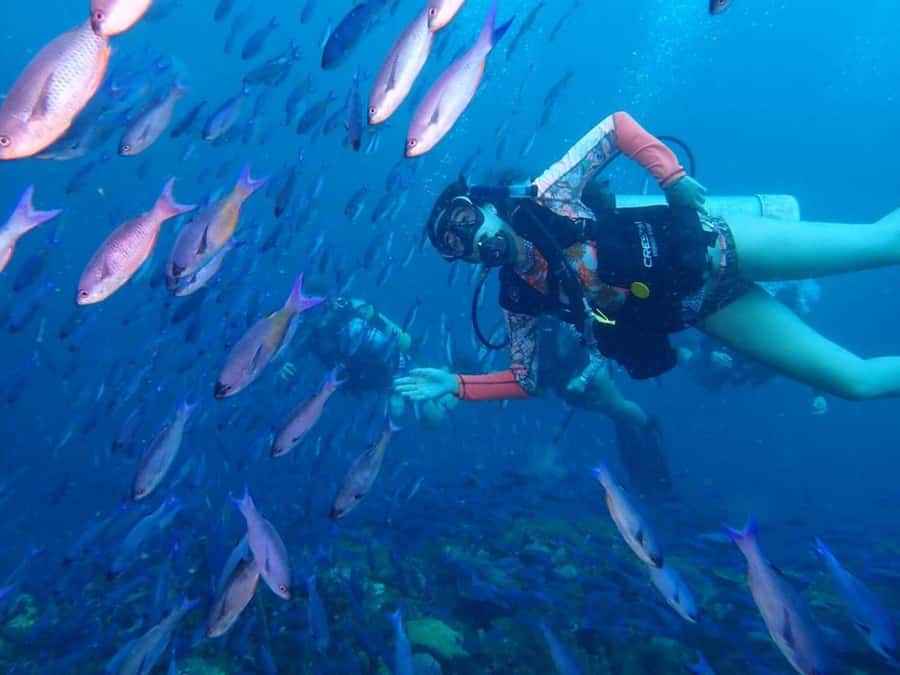 Cartagena: 2 Tanks Dive Plan For CERTIFIED DIVERS - Meeting at Club Náutico de Cartagena and getting on the water
