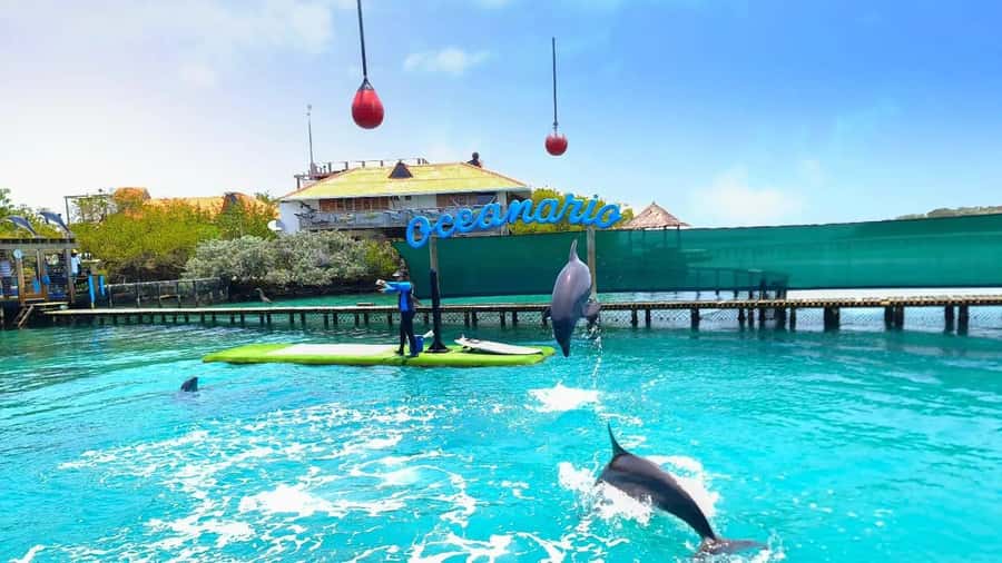 CARTAGENA: 4 islands by sport boat +oceanarium tickets - What’s included, what’s not, and what you should pack