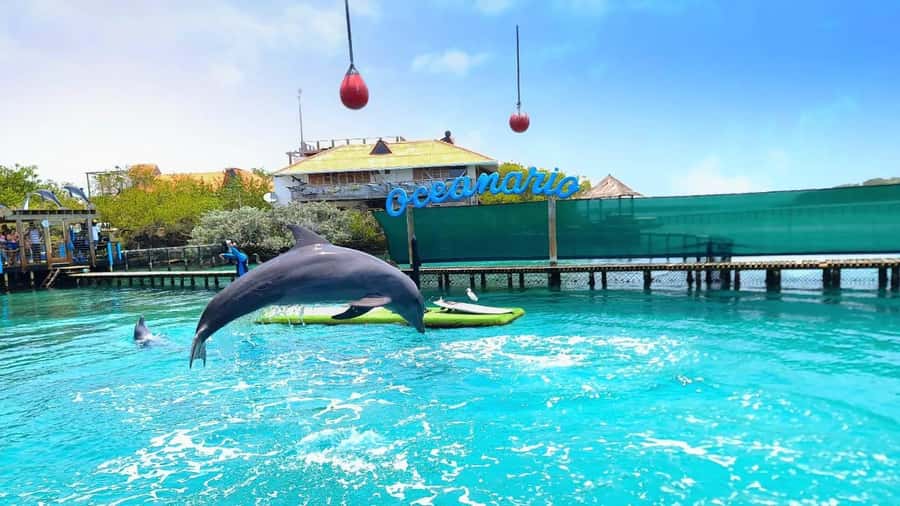CARTAGENA: 4 islands by sport boat +oceanarium tickets - Getting from Cartagena to the Rosario Islands without stress