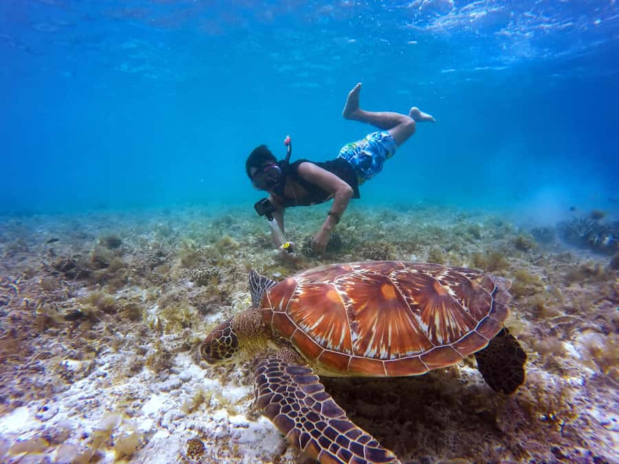 Cartagena: 5 Islands Boat Tour with Lunch, Snorkeling, & Bar - Key things to know before you go