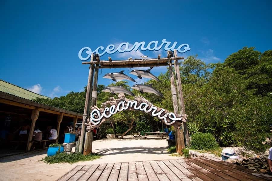 Cartagena: All-Inclusive Rosario Islands Speedboat Tour - Key Things You’ll Care About
