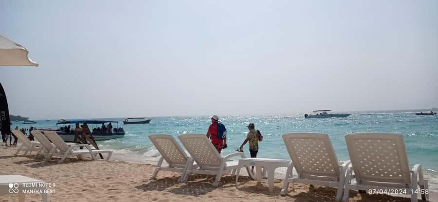 Cartagena: All-Inclusive Rosario Islands Speedboat Tour - Oceanarium Admission: A Structured Visit (and Why It Can Be Worth It)