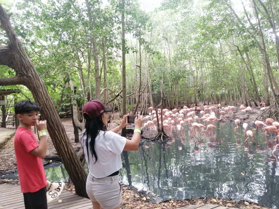 Cartagena: Aviary National Park Tour with Hotel Pickup - Key things to know before you go