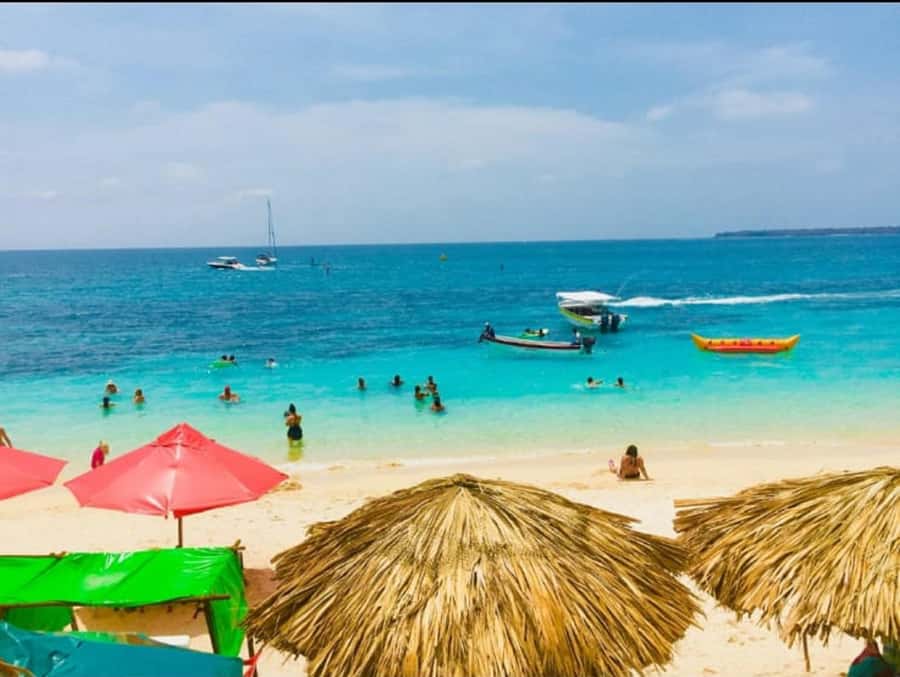 Cartagena: Barù Island Playa Blanca with Lunch - Lunch at the restaurant: fish, coconut rice, and what’s likely worth expecting