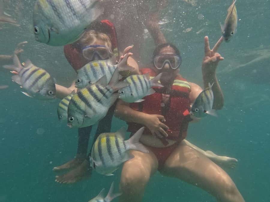 Cartagena: BARÚ Playa blanca with SNORKELING INCLUDED - Playa Blanca Snorkeling: What Makes the Water Worth the Trip