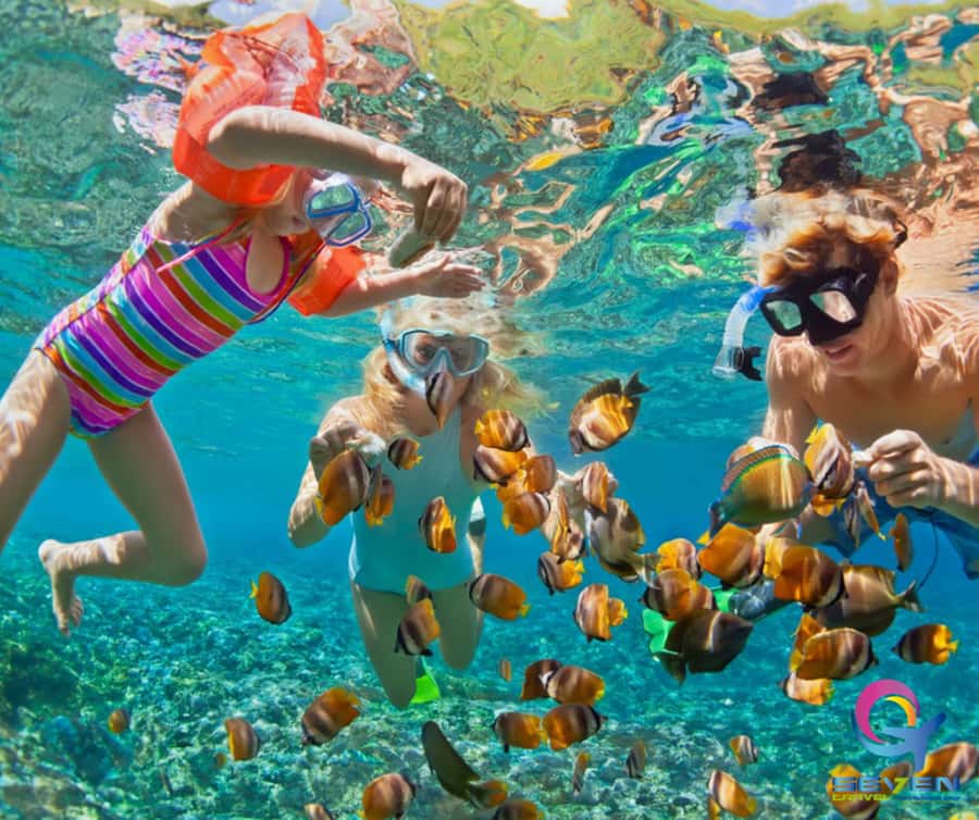 Cartagena: BARÚ Playa blanca with SNORKELING INCLUDED - Cartagena Pickups: Where the Day Starts (and How Early)