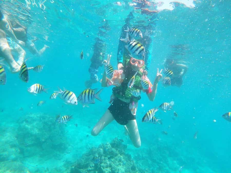 Cartagena: BARÚ Playa blanca with SNORKELING INCLUDED - The 75-Minute Ride to Barú: Use It Wisely