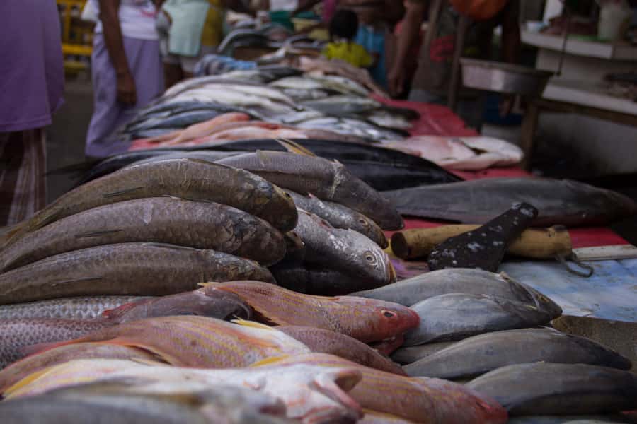 Cartagena Bazurto Market: Authentic Food & Culture Tour - Who Should Book This Bazurto Market Tour?
