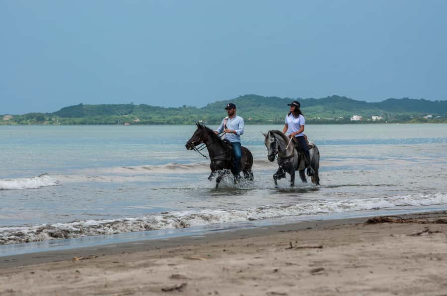 Cartagena: Beach Horse Ride and Colombian Equestrian Culture - Key Highlights You’ll Actually Feel