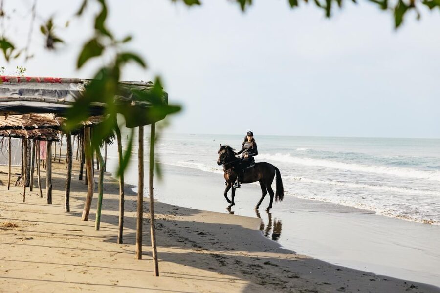 Cartagena: Beach Horse Ride and Colombian Equestrian Culture - Practical Tips for a Smoother Ride
