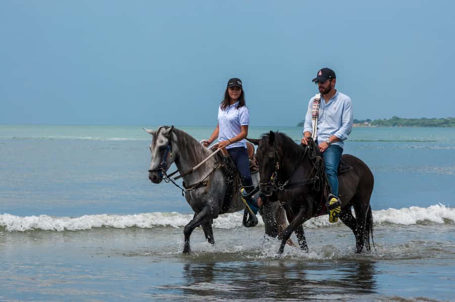 Cartagena: Beach Horse Ride and Colombian Equestrian Culture - From Cartagena Pickup to the Paso Fino Ranch Brief