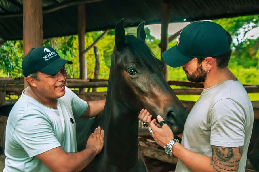 Cartagena: Beach Horse Ride and Colombian Equestrian Culture - Watch the Demonstration, Then Get Matched to Your Ride