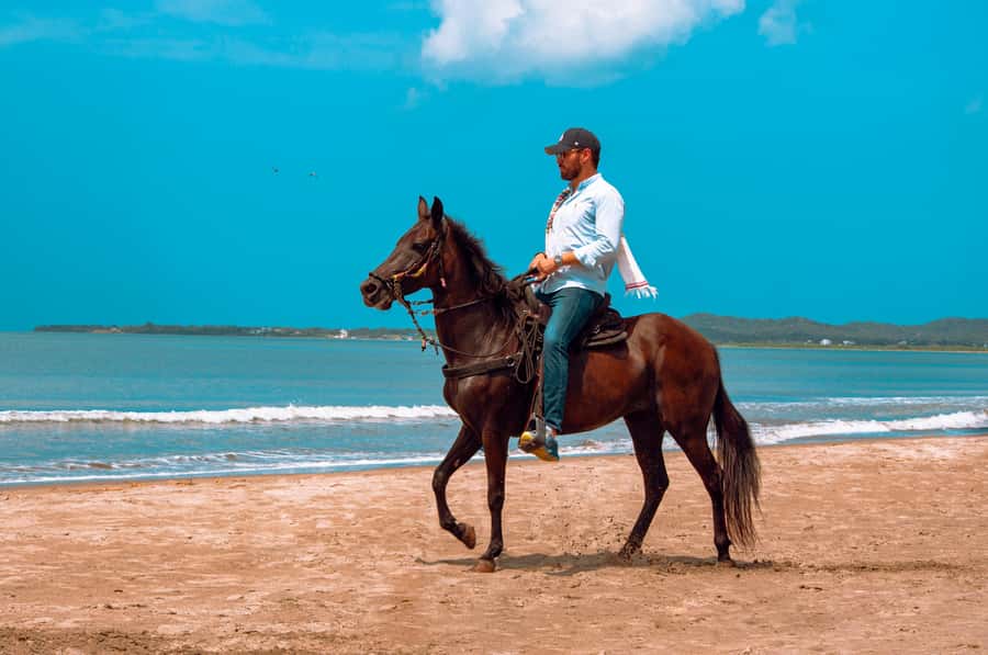 Cartagena: Beach Horse Ride and Colombian Equestrian Culture - The Beach Ride in Cartagena: Sea Breeze, Real Quiet, Real Control