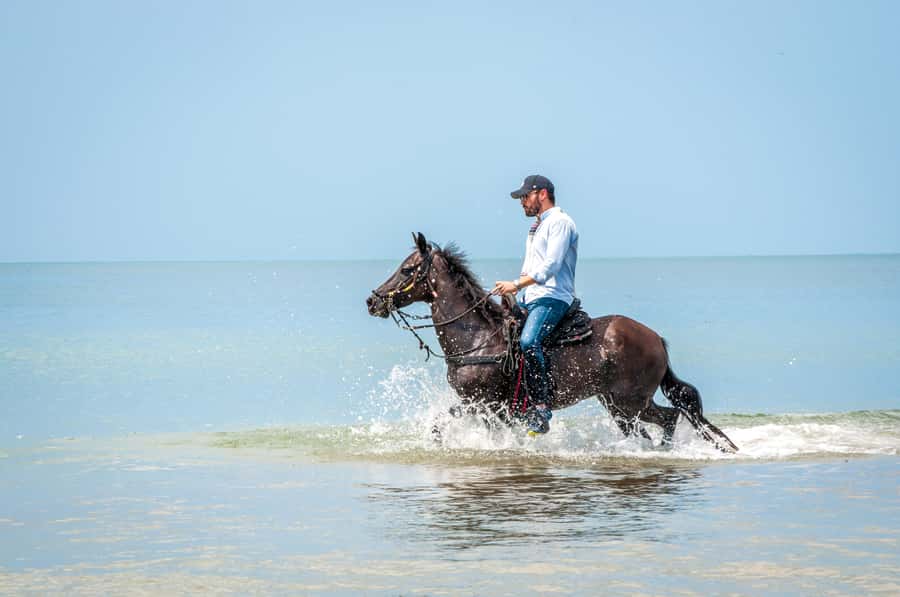 Cartagena: Beach Horse Ride and Colombian Equestrian Culture - Price and Value: What $186 Really Buys You