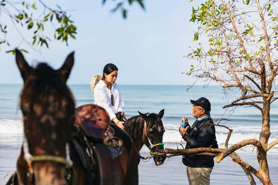 Cartagena: Beach Horse Ride and Colombian Equestrian Culture - Who This Beach Ride Fits Best (and Who Should Skip It)