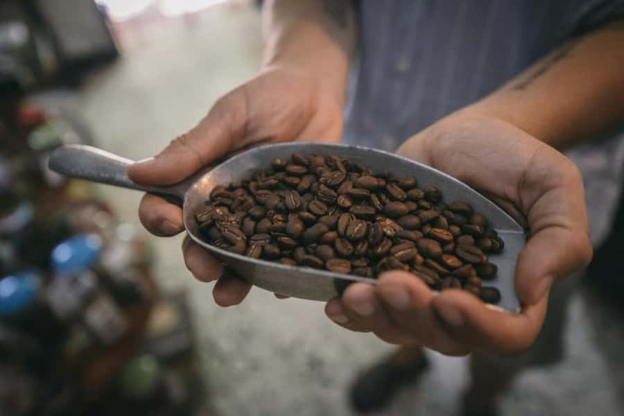 Cartagena Coffee Masterclass: Artisanal Roasting and Brewing - What You Receive: Samples, Snacks, and a 200g Take-Home Bag