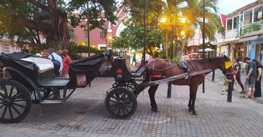 Cartagena: COLLONIAL HORSE DRAWN CARRIAGE by THE OLD CITY - Key things to know before you go