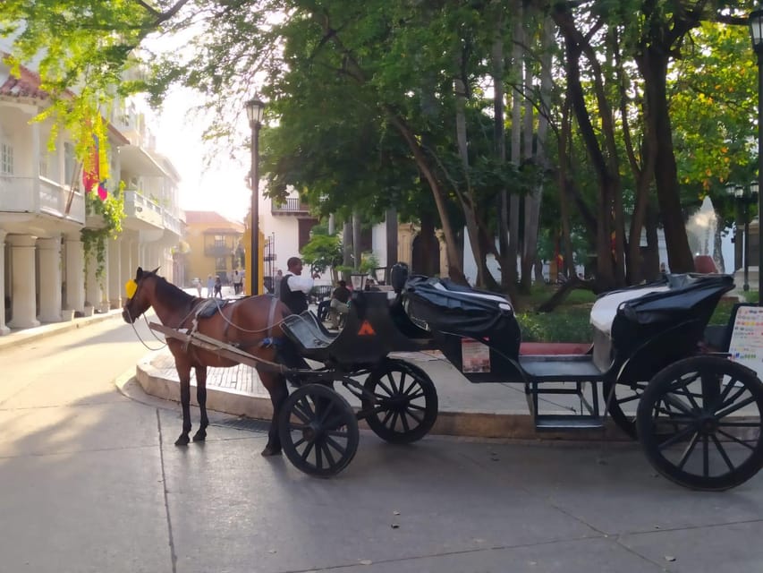 Cartagena: COLLONIAL HORSE DRAWN CARRIAGE by THE OLD CITY - Bilingual guide energy: history you can follow in real time