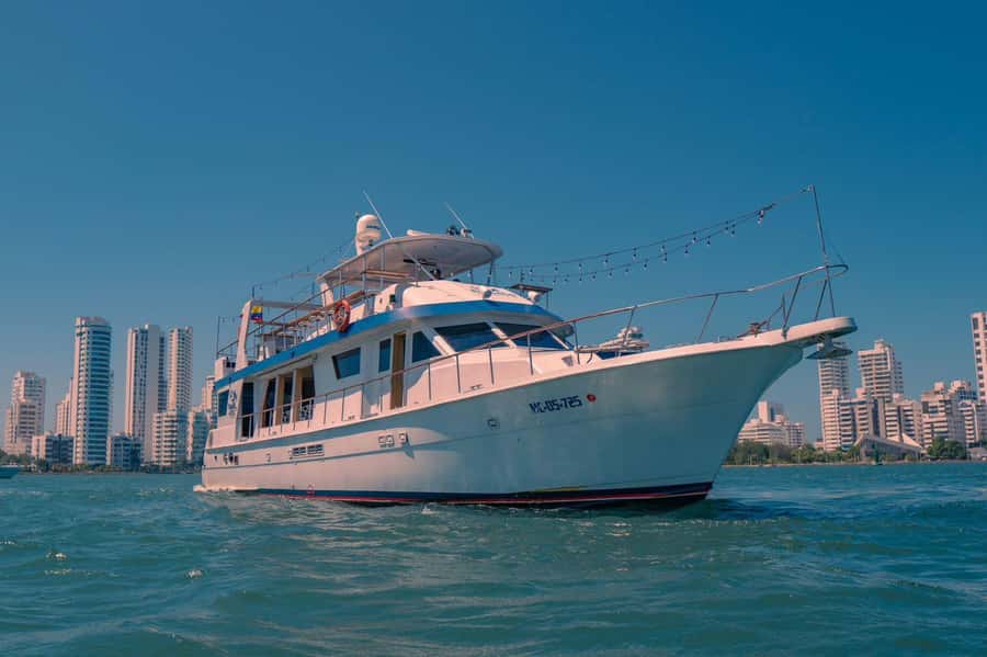 Cartagena: Cruise by the Bay with Dinner and Wine - Who This Cruise Fits Best in Your Cartagena Plan
