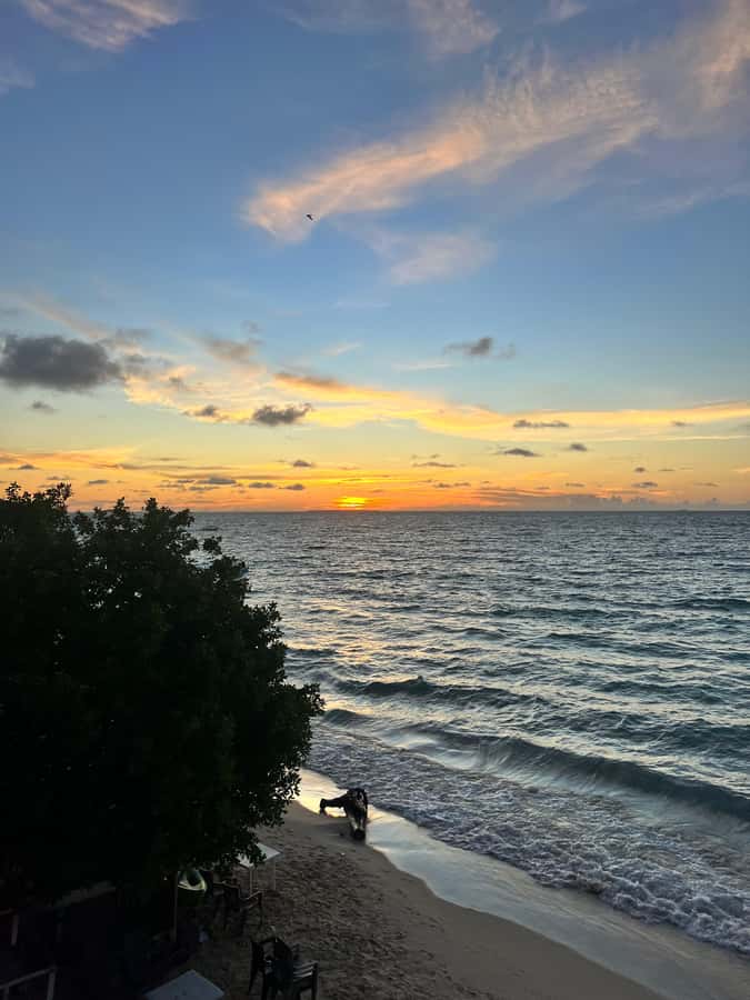 Cartagena de Indias: Pasadia 5 Islas del rosario and Baru boat trip - Snorkeling or oceanarium-style option: picking your underwater moment