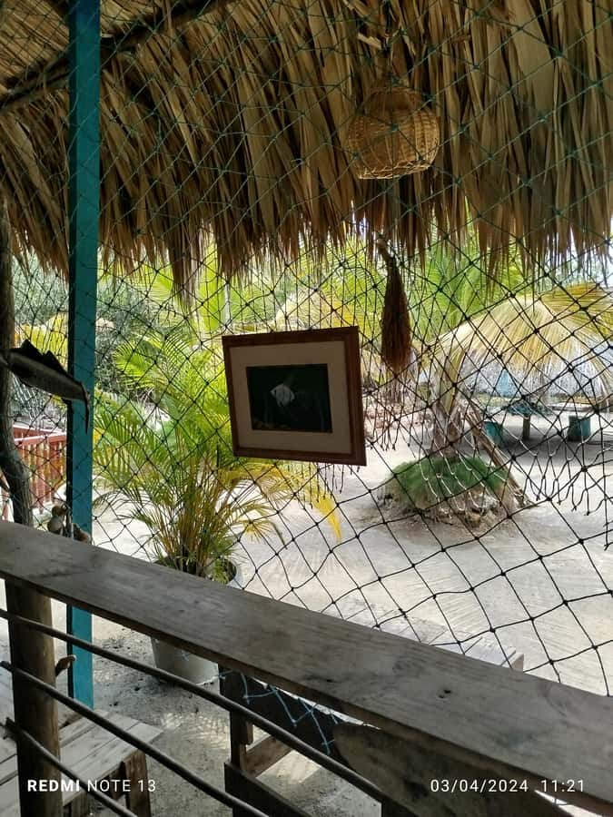 Cartagena: FISHERMEN'S ISLAND IN THE MANGROVES by canoe - Key things to know before you go