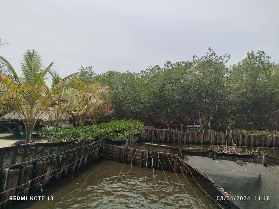 Cartagena: FISHERMEN'S ISLAND IN THE MANGROVES by canoe - Fishermen’s Island (Isla de los Pescadores): where culture meets the water