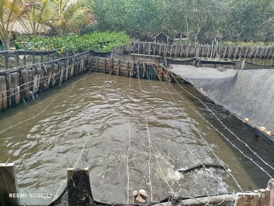 Cartagena: FISHERMEN'S ISLAND IN THE MANGROVES by canoe - Time on the water vs. time on land: how the schedule feels