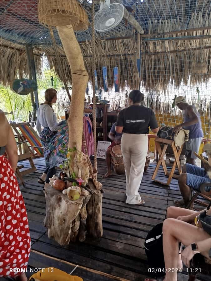 Cartagena: FISHERMEN'S ISLAND IN THE MANGROVES by canoe - Three mangrove tunnels and the wildlife you can actually look for
