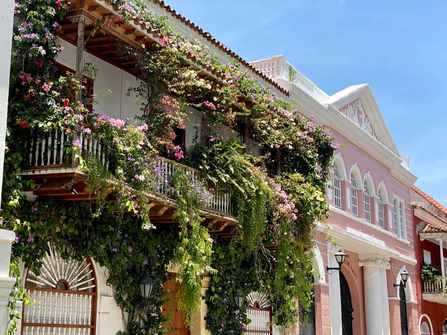 Cartagena: History, Culture & Coffee Experience - Who this tour fits best (and who should choose differently)