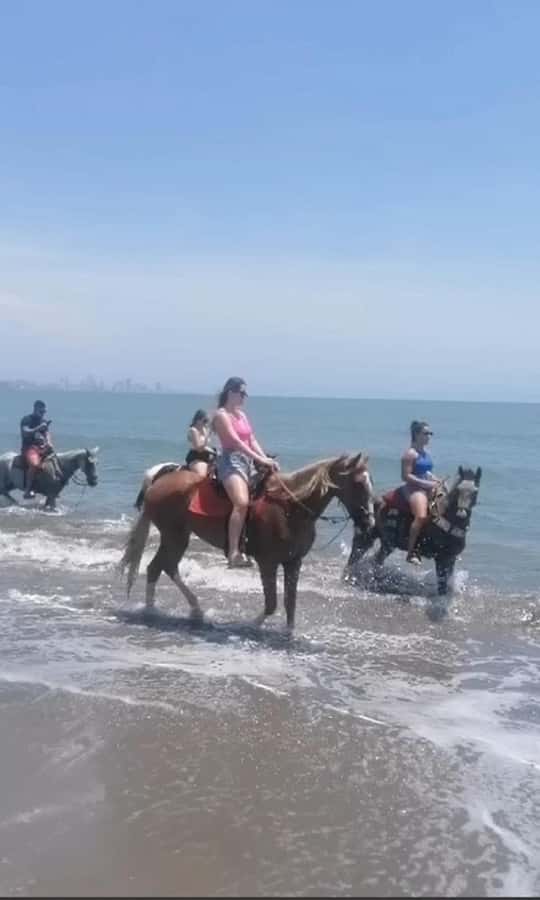 Cartagena: Horse Riding on the Beach with Photos and Lunch - Key Things I’d Book This For