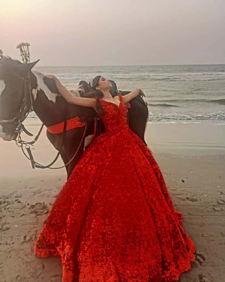 Cartagena: Horse riding on the beaches of Cartagena & PHOTOS - Key Highlights Worth Knowing