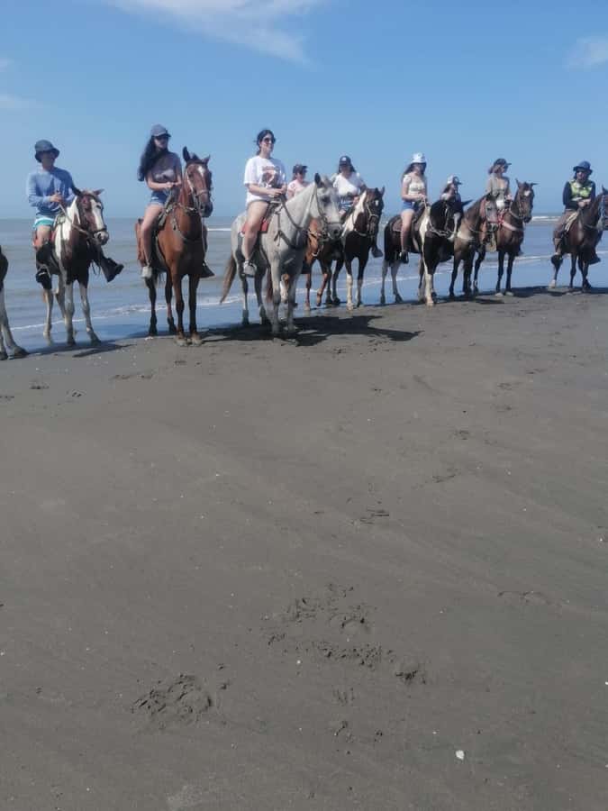 Cartagena: Horse riding on the beaches of Cartagena & PHOTOS - Beach Horses, Starting Behind Sonesta (Where You’ll Actually Go)
