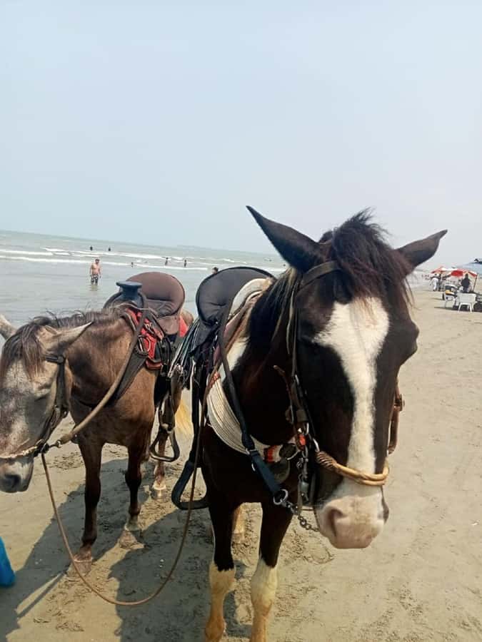 Cartagena: Horse riding on the beaches of Cartagena & PHOTOS - How Long Should You Ride: 30 Minutes vs 2 Hours