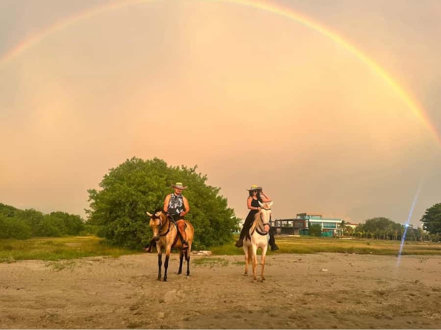 Cartagena: Horseback Ridding Excursion on the Beach - Key points worth knowing before you go
