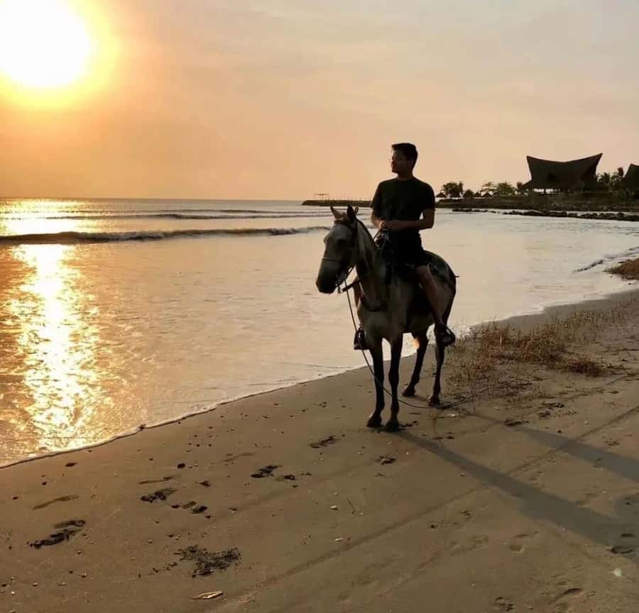 Cartagena: Horseback Ridding Excursion on the Beach - Beach horseback riding in Cartagena that actually feels different