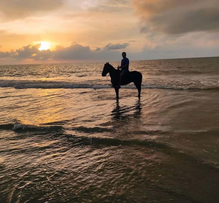 Cartagena: Horseback Ridding Excursion on the Beach - How the pickup works (and why timing matters)