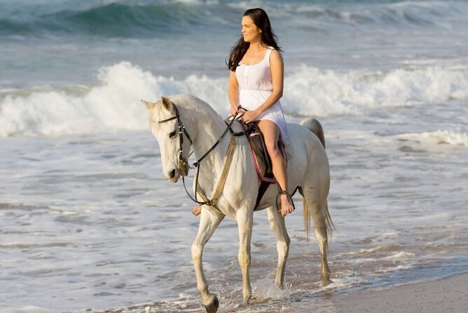 Cartagena: Horseback Riding at the Beach During Day or Sunset - Key things that make this tour worth considering