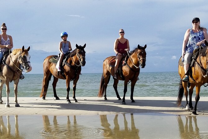 Cartagena: Horseback Riding at the Beach During Day or Sunset - Why La Boquilla Beach Riding Feels More Local Than Old-Town Sightseeing