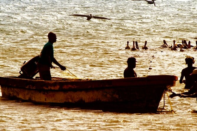 Cartagena: Horseback Riding at the Beach During Day or Sunset - The Ride Itself: How the Horses and Guide Make It Beginner-Safe
