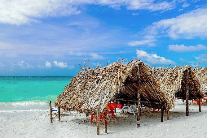 Cartagena: Horseback Riding at the Beach During Day or Sunset - La Boquilla Trail Time: What You’ll Actually Do for 1 Hour 15 Minutes