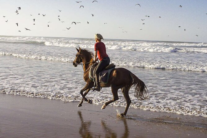 Cartagena: Horseback Riding at the Beach During Day or Sunset - Ending at a Seaside Restaurant: Relax, Snack, and Get Back Easy