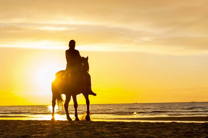 Cartagena: Horseback Riding at the Beach During Day or Sunset - Who This Tour Fits Best (and Who Might Want Something Else)