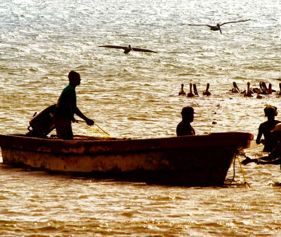 Cartagena: Horseback Riding on the Beach at Sunset - Why La Boquilla Beach Rides Feel More Like Colombia Than a Souvenir Tour