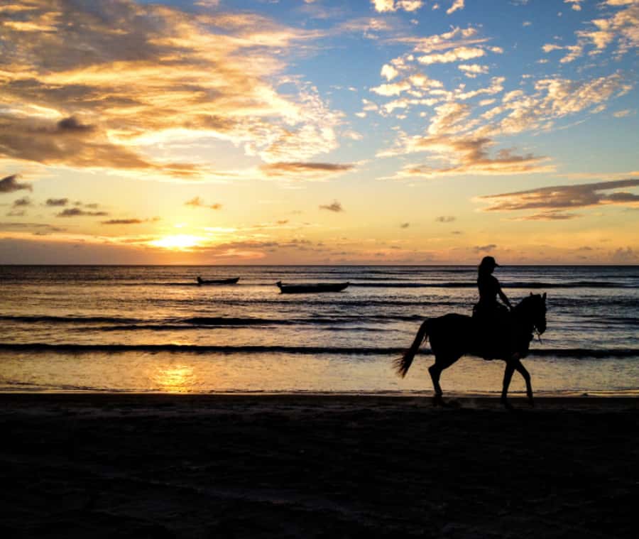 Cartagena: Horseback Riding on the Beach at Sunset - The 1.5-Hour Ride Structure: What Happens Once You’re at La Boquilla